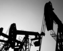 Запасы нефти обнаружены в полупустыне Чако, за которую в 1930-е годы Парагвай вел войну с Боливией. 