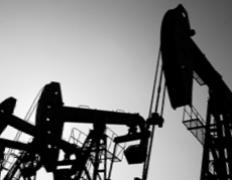 Запасы нефти обнаружены в полупустыне Чако, за которую в 1930-е годы Парагвай вел войну с Боливией